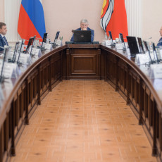 Фото: пресс-служба правительства Воронежской области