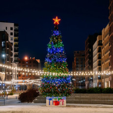 Фото: пресс-служба