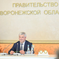 Александр Гусев (Фото: пресс-служба правительства Воронежской области)