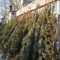 Фото: РБК Приморье