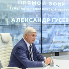 Александр Гусев (Фото: пресс-служба правительства Воронежской области)