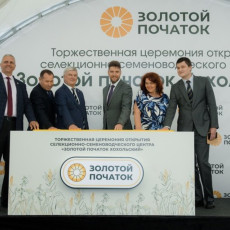 Фото: пресс-служба правительства Воронежской области