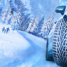 Фото: АО «Кордиант»