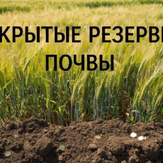 фото: ЗАО «БиоАгроСервис»