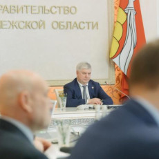 Фото: пресс-служба правительства Воронежской области