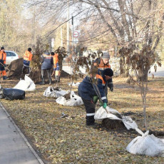 Фото: Сергей Сапоцкий