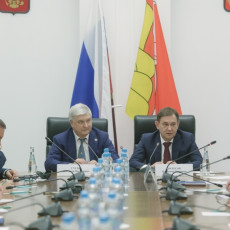 Фото: пресс-служба правительства Воронежской области
