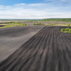 Фото: пресс-служба ГК «Продимекс»