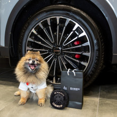 Программа pet friendly в ДЦ EXEED вышла на федеральный уровень