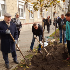 Фото: РБК Черноземье