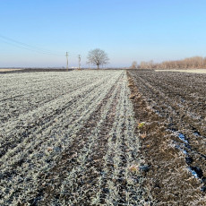 Фото: Агрохолдинг «СТЕПЬ»