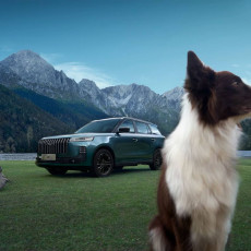 Фото: пресс-служба