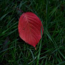 Фото: Глеб Садов