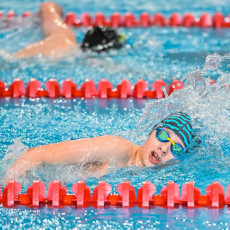 В Перми пройдет Первенство края по плаванию «Веселый дельфин»