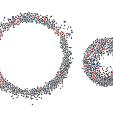 Фото: Матвей Иванов