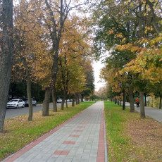 Фото: РБК Черноземье