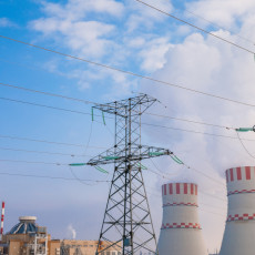 Фото: Ольга Мартынова