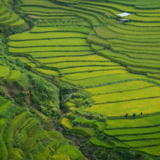 Фото: unsplash.com