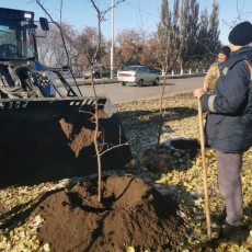 Фото: Администрация города Омска