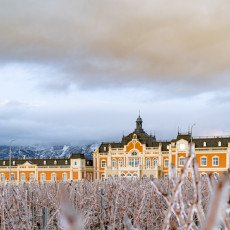 Фото: ООО «Шато де Талю»