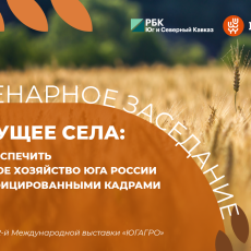 фото: Медиа Группа РБК Юг и Северный Кавказ