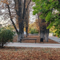 Фото: РБК Черноземье