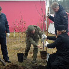 Фото: пресс-служба Воронежской городской Думы