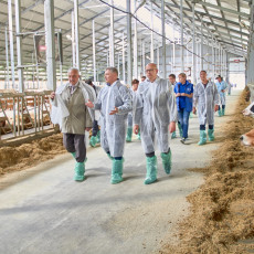 Израильские аграрии помогут повысить продуктивность российских коров