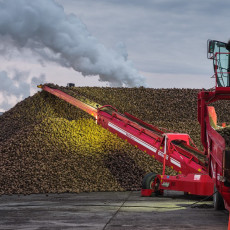 Фото: пресс-служба ГК «Продимекс»