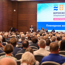 Фото: пресс-служба правительства Воронежской области