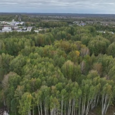 Все фото предоставлены пресс-службой "Талан"