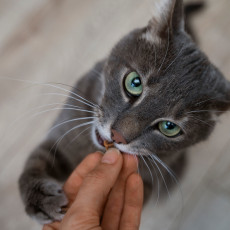 Фото: ru.freepik.com