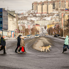 Фото: пресс-служба