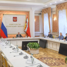Фото: пресс-служба правительства Воронежской области