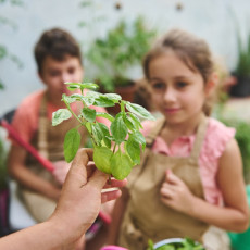 фото:  агрохолдинг «Степь»