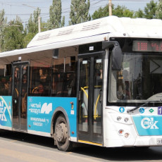 Фото: Ксения Сушко / РБК Омск