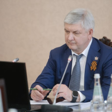 Александр Гусев (Фото: пресс-служба правительства Воронежской области)