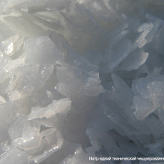 Продукция БСК — в «золотой» сотне лучших товаров России