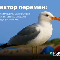Фото: РБК Приморье