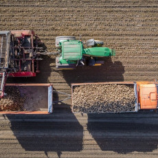 Фото: пресс-служба ГК «Продимекс»