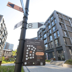 Разработан метод точной диагностики процессов принятия решений в мозге