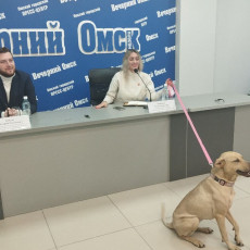 Фото: Вячеслав Кумпан