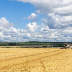 Рост нижегородского АПК обогнал промышленность и экономику региона 