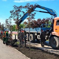 Фото: Управление пресс-службы правительства и губернатора Омской области