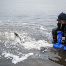 Фото: Ольга Мартынова