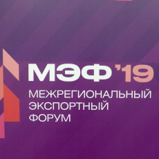 В работе МЭФ'19 в Перми приняли участие эксперты из 16 стран