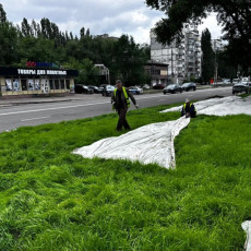 Фото: пресс-служба мэрии Воронежа