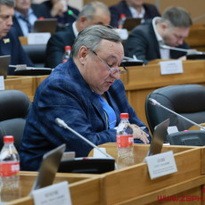 В Приморье ввели запрет на прикорм бездомных собак в общественных местах