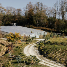 Фото: Александр Саенко