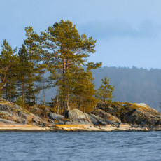 Фото: Дмитрий Грачев